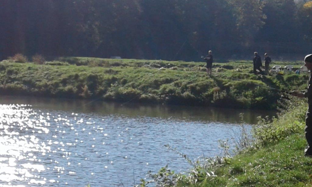 Familienangeltag in der Fischzuchtanlage Ermisch in Neustadt / Sa.